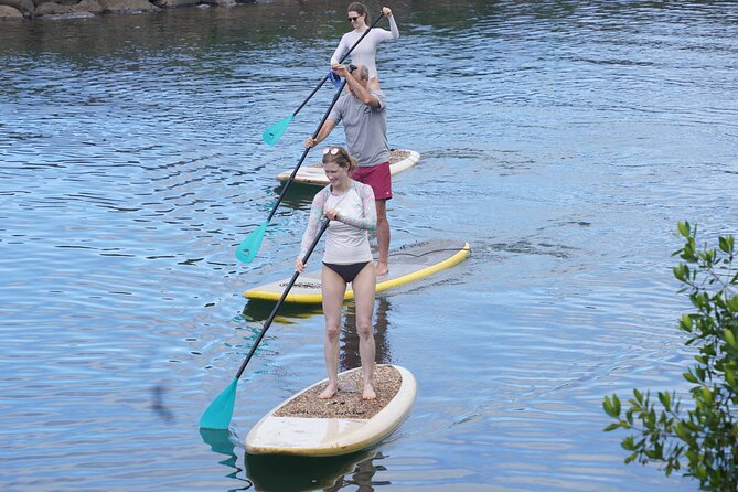 Historic Haleiwa Rainbow Bridge Stand Up Paddle (Anahulu River) - Inclusions Provided