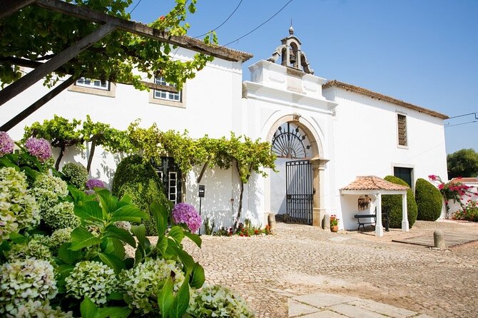 Historic Winery Tour and Tasting in Bombarral - Wine Tasting Experience