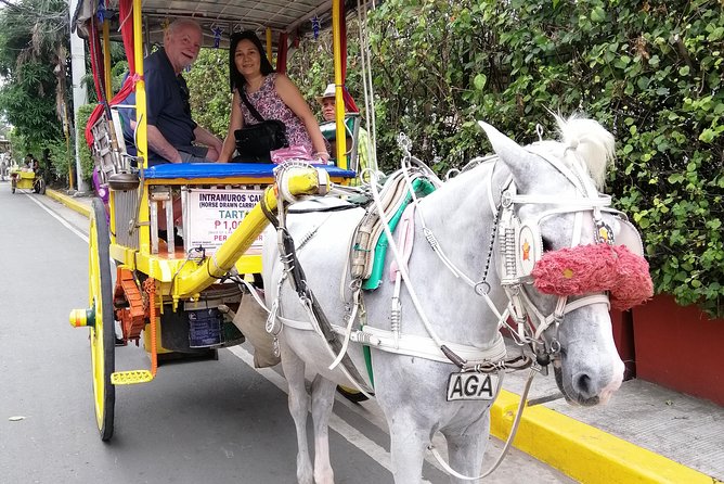 Historical Tour of Old Manila - Tour Highlights
