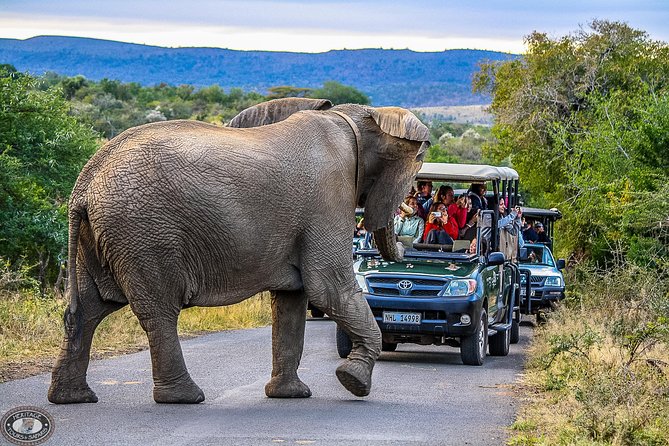 Hluhluwe-Imfolozi Park Full Day Big 5 Safari Tour - Pickup and Meeting Points