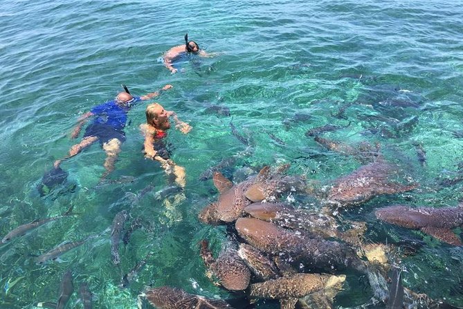 Hol Chan Marine Park and Shark Ray Alley Snorkeling - Dive Spots in Belize
