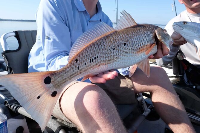 Hooked on the Bayou: New Orleans Kayak Fishing Trips - Choosing the Right Kayak
