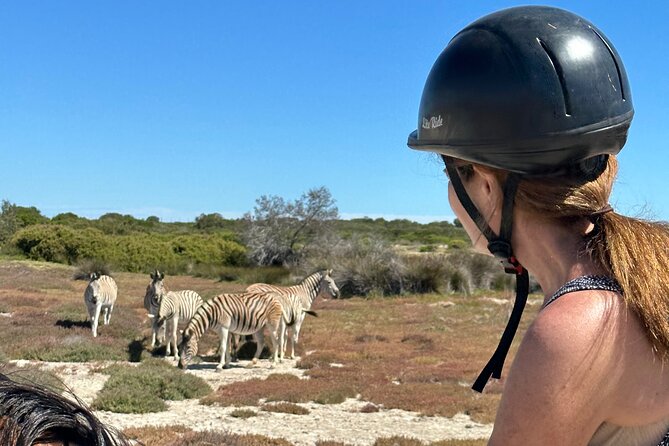 Horse Back Safari on the West Coast - Private Tour/Activity Information