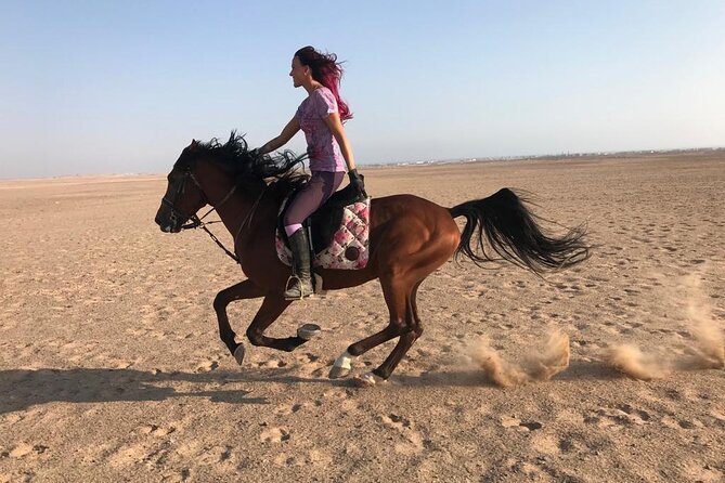 Horse Riding 1-Hour Adventure Trip With Transfer - Hurghada - Pickup and Transfer Details