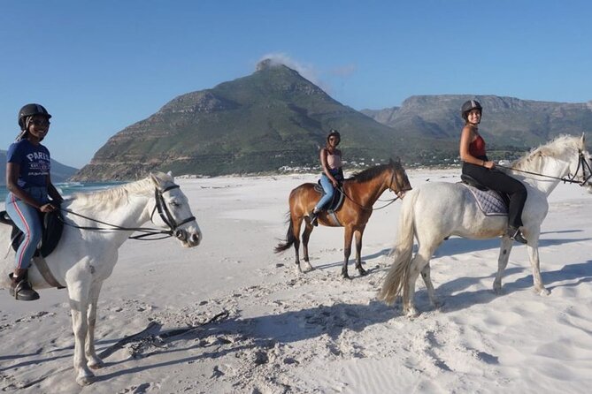 Horse Riding at Noordhoek Beach Tour - Horse Riding Experience