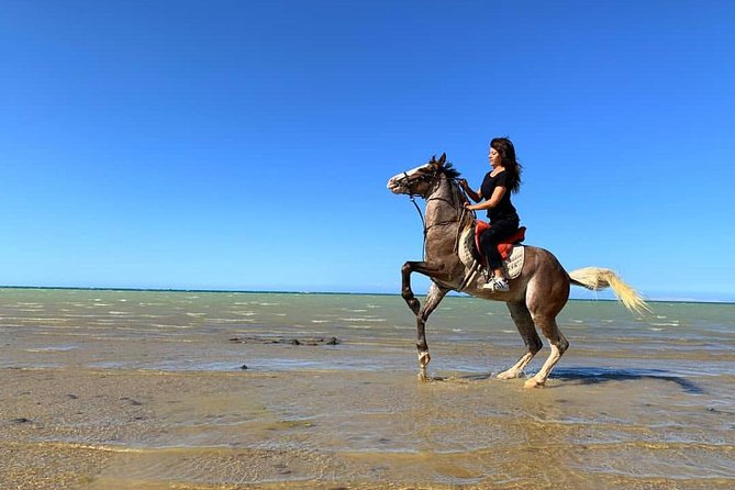 Horse Riding Tour 2 Hours Sea and Desert With Transfer - Hurghada - Inclusions