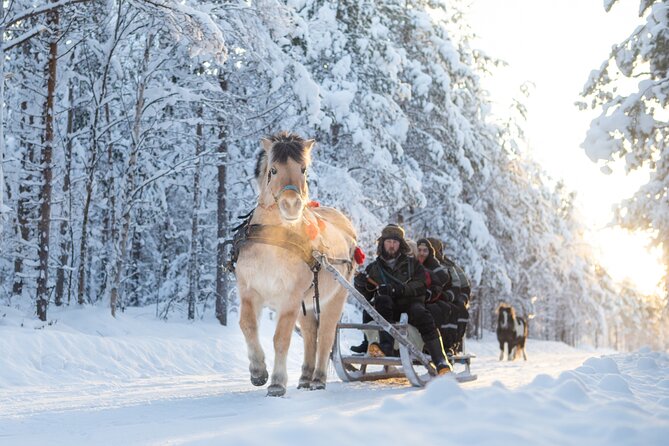 Horse Sleigh Ride in the Arctic, Apukka Resort Rovaniemi - Additional Information and Policies