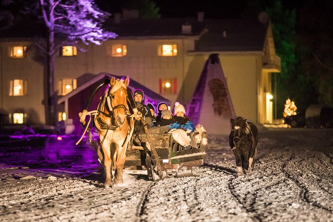Horse Sleigh Ride Under The Night Sky in Apukka Resort, Rovaniemi - Pickup Points and Time