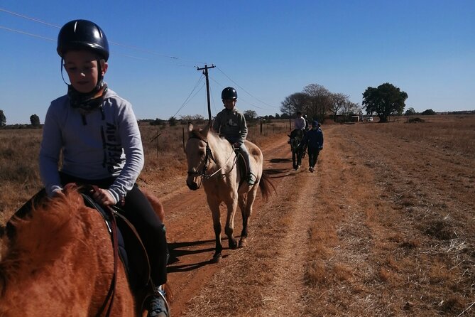 Horseback Game Trail - Lowest Price Guarantee