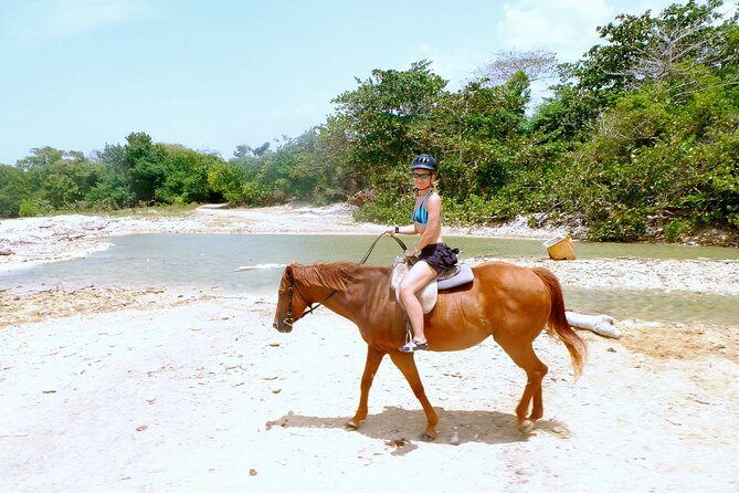 Horseback Ride, City Highlight Tour Ocho Rios(Entry Fee Included) - Itinerary Details