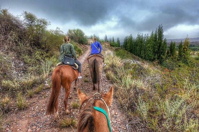 Horseback Ride Through Vineyards Followed by Gourmet Lunch - Booking Information
