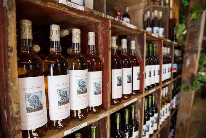 Horseback Riding and Wine Tours - Wine Tasting: Discovering Exquisite Flavors