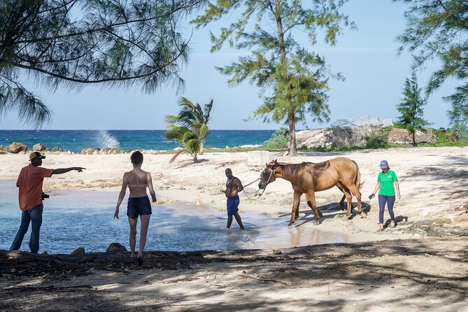 Horseback Riding , Blue Hole and Lunch From Ocho Rios - Booking Details