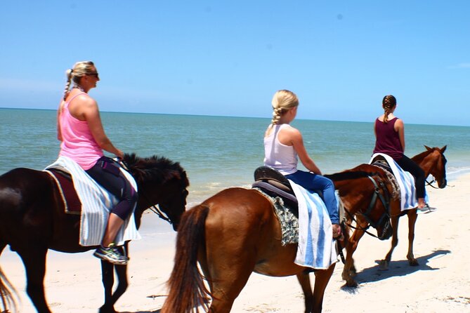 Horseback Riding, Shopping and Lunch - Traveler Photos and Reviews