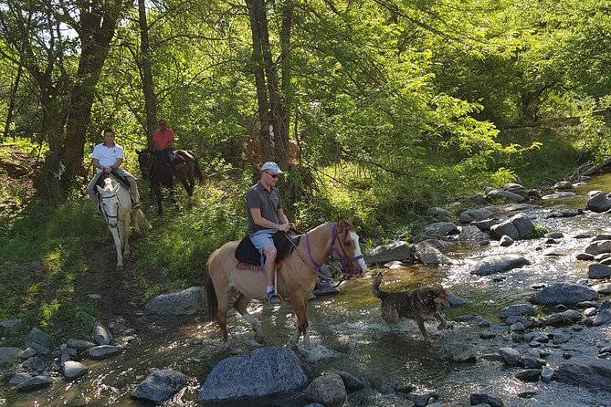 Horseback Riding Through the Sierras - Exploring the Sierra Nevada Mountain Range