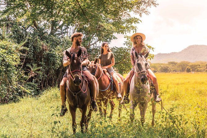Horseback Riding to Conchal Beach - Overview of the Horseback Riding Experience