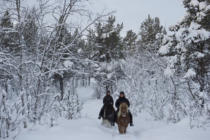 Horseback Riding Tour in Levi - Pickup and Meeting Details