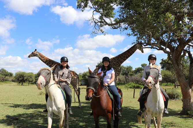 Horseback Safari Adventure in Hartbeespoort From Johannesburg - Best Time to Visit Hartbeespoort for a Horseback Safari