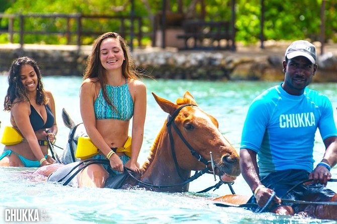 Horseback Swimming Excursion  - Jamaica - Pickup and Transportation