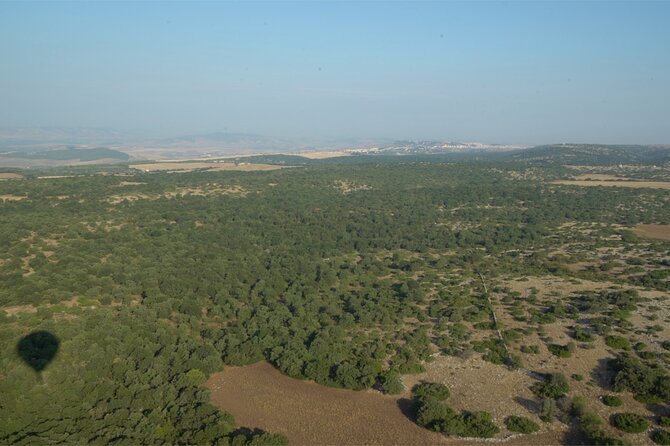 Hot Air Balloon Flight in the Sibari Plain for Small Groups - Inclusions and Logistics