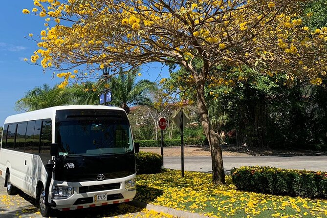 Hotel in San Jose to SJO Airport Transfer - Service Overview
