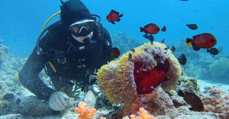 Hurghada: Diving and Snorkeling Tour With Transfers - Activity Details