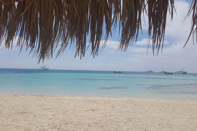 Hurghada Swim With Dolphins and Snorkling - Review Sources