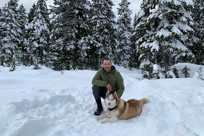 Husky Hikes Private Mountain Tours - Tour Details