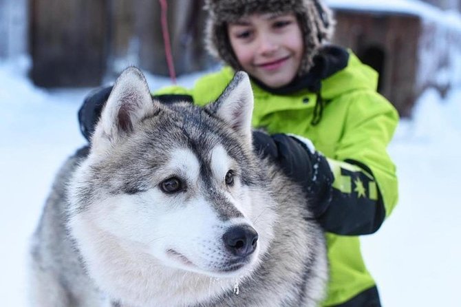 Husky Safari From Levi 2 KM or 5 KM With Husky Sledge Ride - Tour Duration and Pickup Information