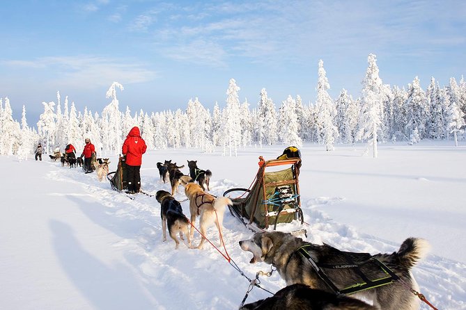Ice Fishing and Husky - Pickup and Drop-off