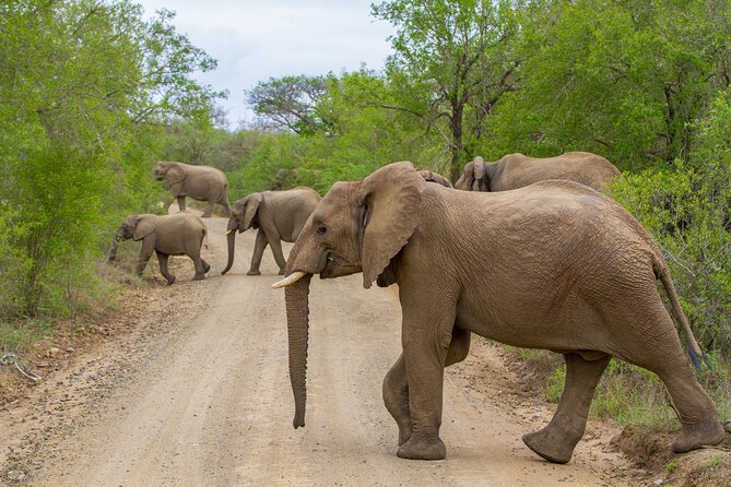 Isimangaliso Sunset Game Drive - Additional Information