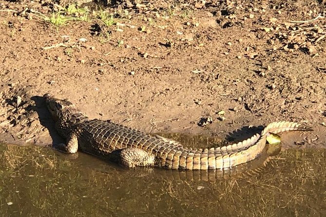 Isimangaliso Wetland Park Estuary Boat Safari - Additional Information
