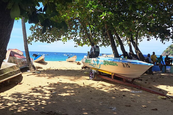 Island Tour (Food and Drinks Include) - Culinary Delights on the Island Tour