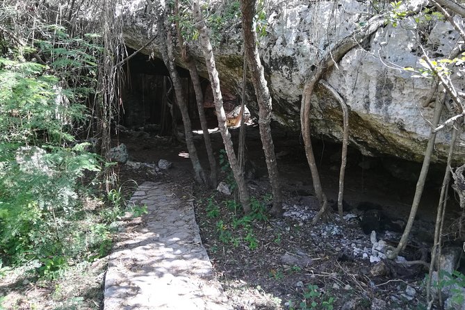 Island Tour of North and Middle Caicos W / Lunch & Drinks Included - Farm Visit and Fruit Tasting