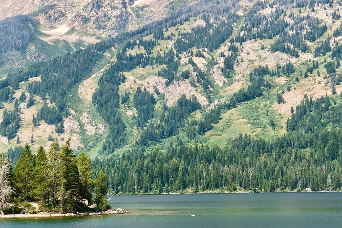 Jackson Hole Grand Teton National Park Scenic Float Trip - Pricing and Reservation