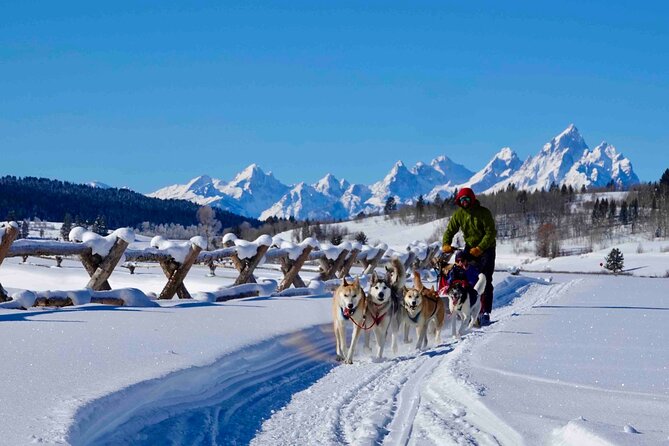 Jackson Hole Half-Day Small-Group Dogsled and Snowmobile Tour - Meeting and Pickup Details