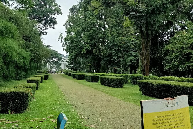 Jakarta Bogor Botanical Garden, Waterfall and Rice Terrace, Lunch - Discovering the Majestic Waterfall