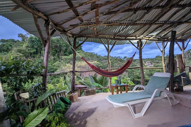 Jamaican Roots Tropical Farm Tour - Explore & Chill (2 Hr) - Meeting and Pickup Details