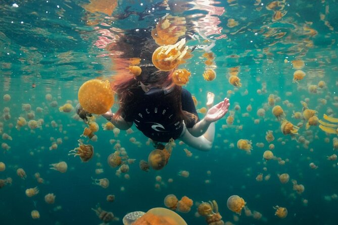 Jellyfish Sanctuary and Sohoton Cove Full-Day Tour - Review Insights and Authenticity