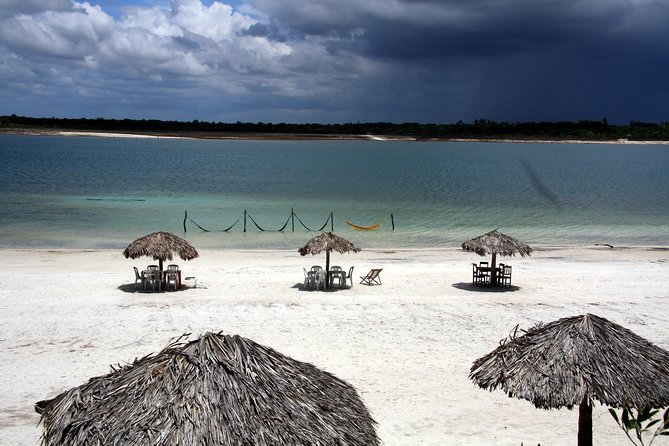 Jericoacoara Tour in 1 Day - Overview of Jericoacoara Tour
