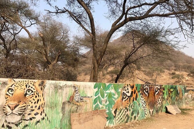 Jhalana Amagarh Leopard Safari Trip From Jaipur - All Inclusive - Good To Know