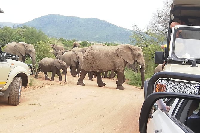 Johannesburg Private 2-Day Pilanesberg Safari  - Pretoria - Weather and Cancellation Policy