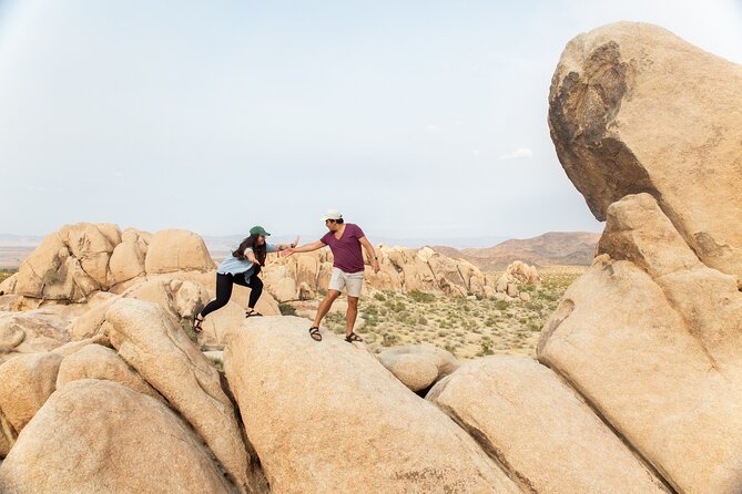 Joshua Tree Full Day Private Tour and Hike - Itinerary Overview