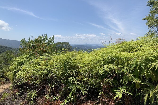 Jungle Adventure: Hike and Tube Excursion - Inclusive Package Details