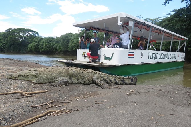 Jungle Crocodile Safari and Bird Watching Tour - Tour Overview