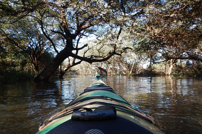 Kayaking the Uruguay River 1-Day Excursion (Feb ) - Booking and Tour Details