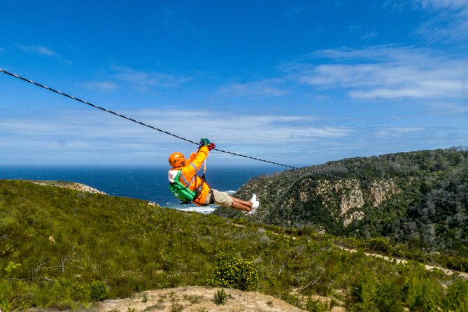 Knysna Small-Group Zipline Tour  - Plettenberg Bay - What To Expect