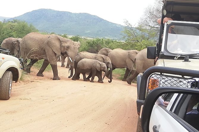 Kruger National Park 3 Days 2 Nights Classic Safari From Johannesburg Private - Accommodation Details