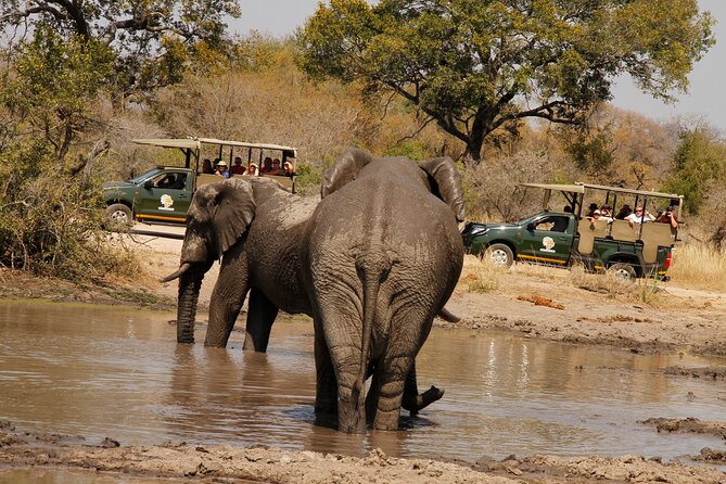 Kruger National Park Afternoon Private Safari - Meeting and Pickup