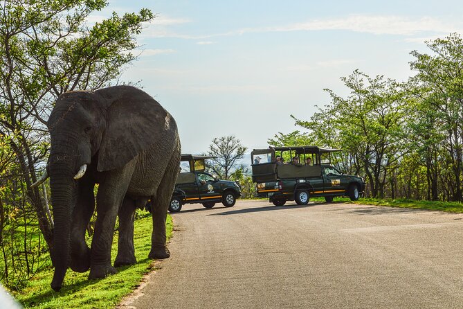 Kruger National Park Full Day Private Safari - Overview of the Experience